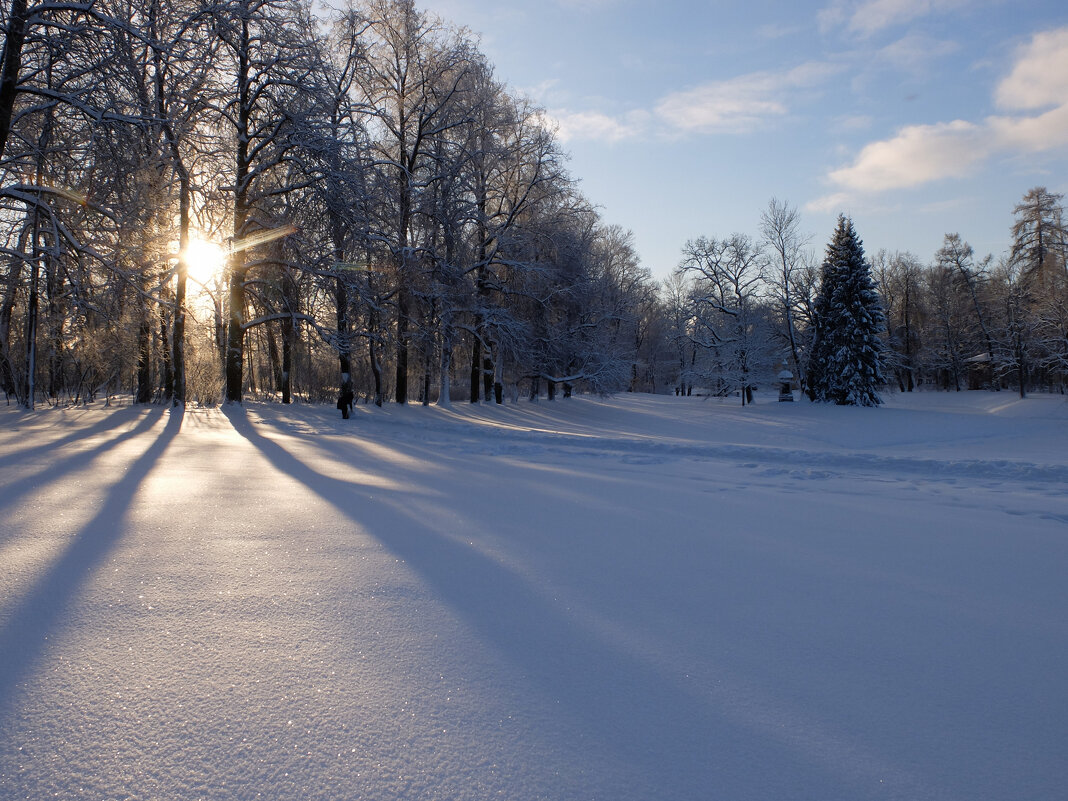 Екатерининский парк - tipchik Екатерининский парк - tipchik