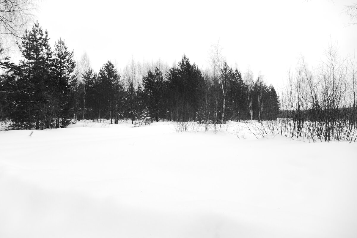 Мечты о ч/б Лейке 23. - Михаил Елочкин Мечты о ч/б Лейке 23. - Михаил Елочкин