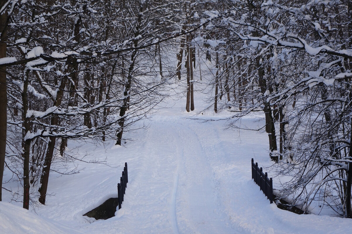 Зимние картинки - Рита Симонова