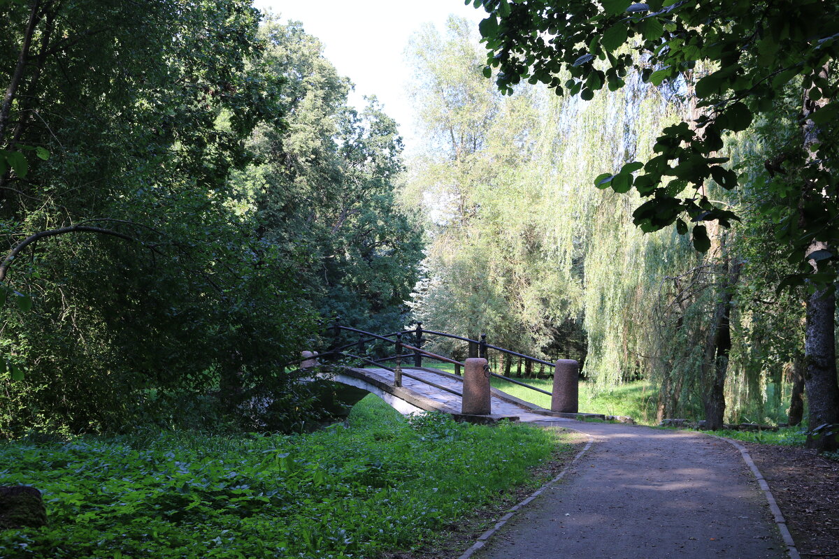 В парке Несвижского замка - Ольга 