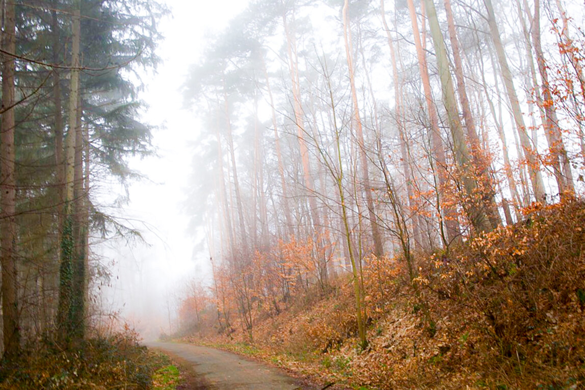 1 марта,густой туман. - Lucy Schneider 1 марта,густой туман. - Lucy Schneider