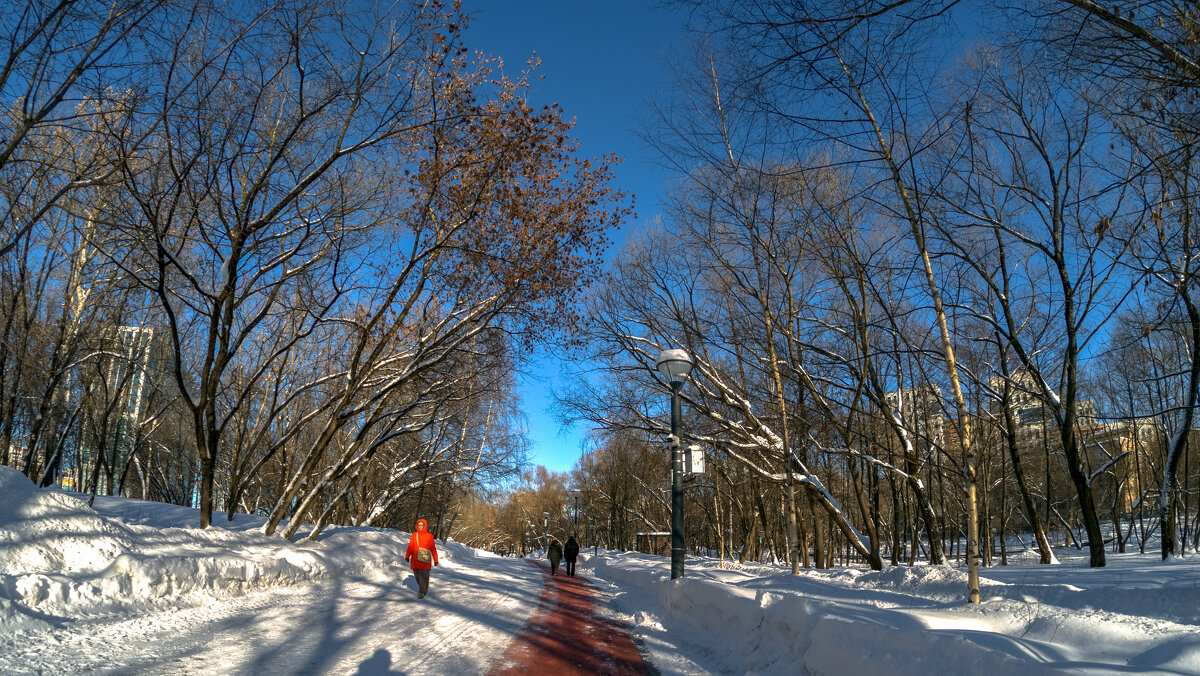 Прогулки в Зимнем Парке - юрий поляков
