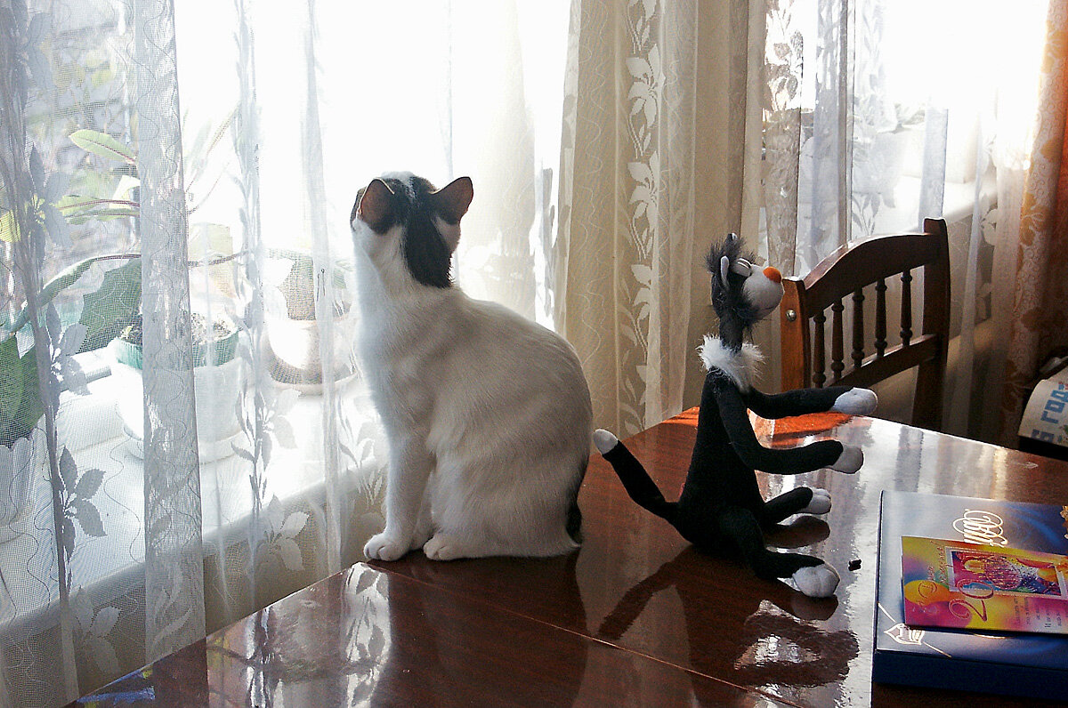 "Не хочу дружить". Триптих, часть 3. - MILAV V