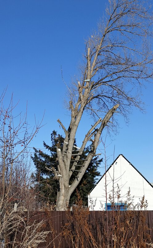 Ближе к небу . - Мила Бовкун