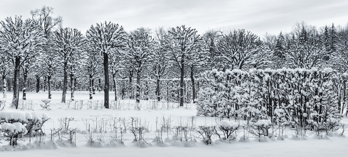 Про Питер - Владимир Колесников
