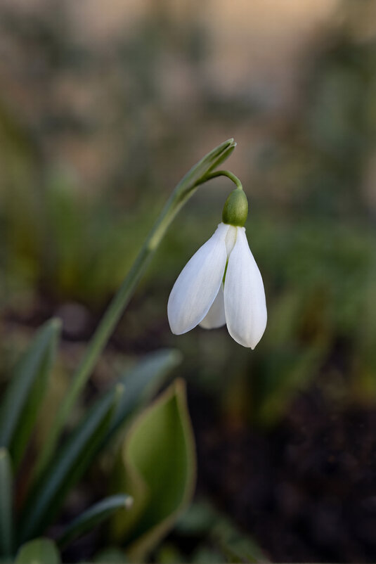 Весна на дворе. Пора влюбляться... - Валерий Басыров