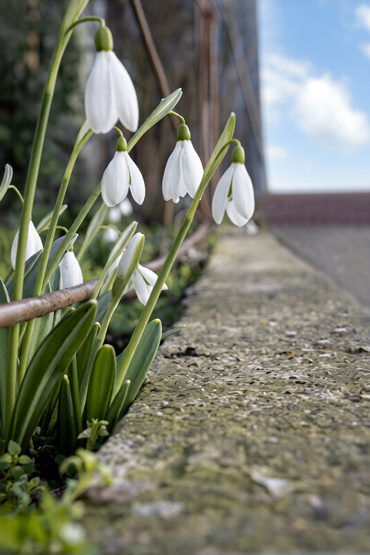 Весна на дворе. Пора влюбляться... - Валерий Басыров