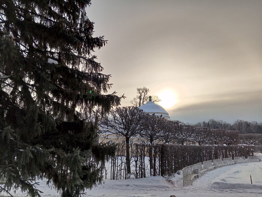 Зима - Сапсан 