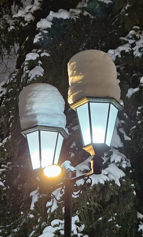 В последний день зимы. - Михаил Свиденцов