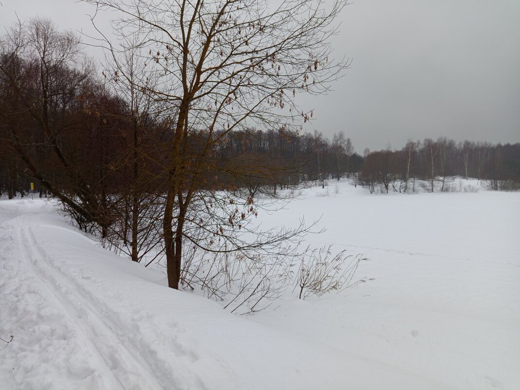 Первый день весны-2026 - продолжение ЧБ-сезона в фотографии - Андрей Лукьянов