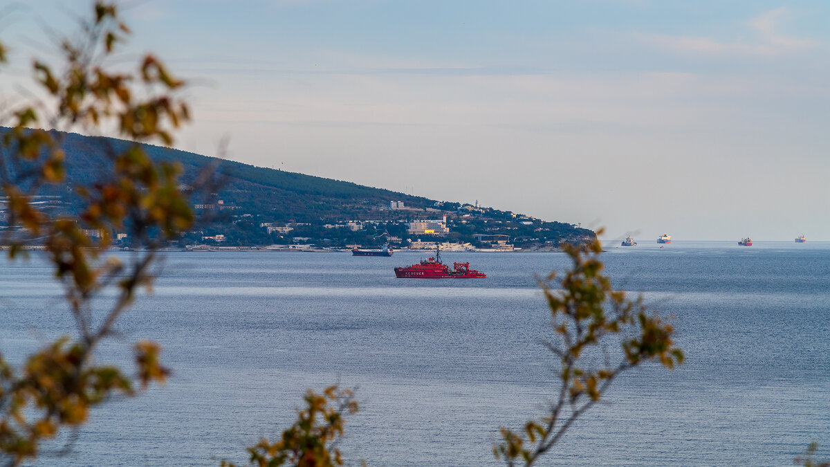 Черноморское побережье - Владимир Лазарев
