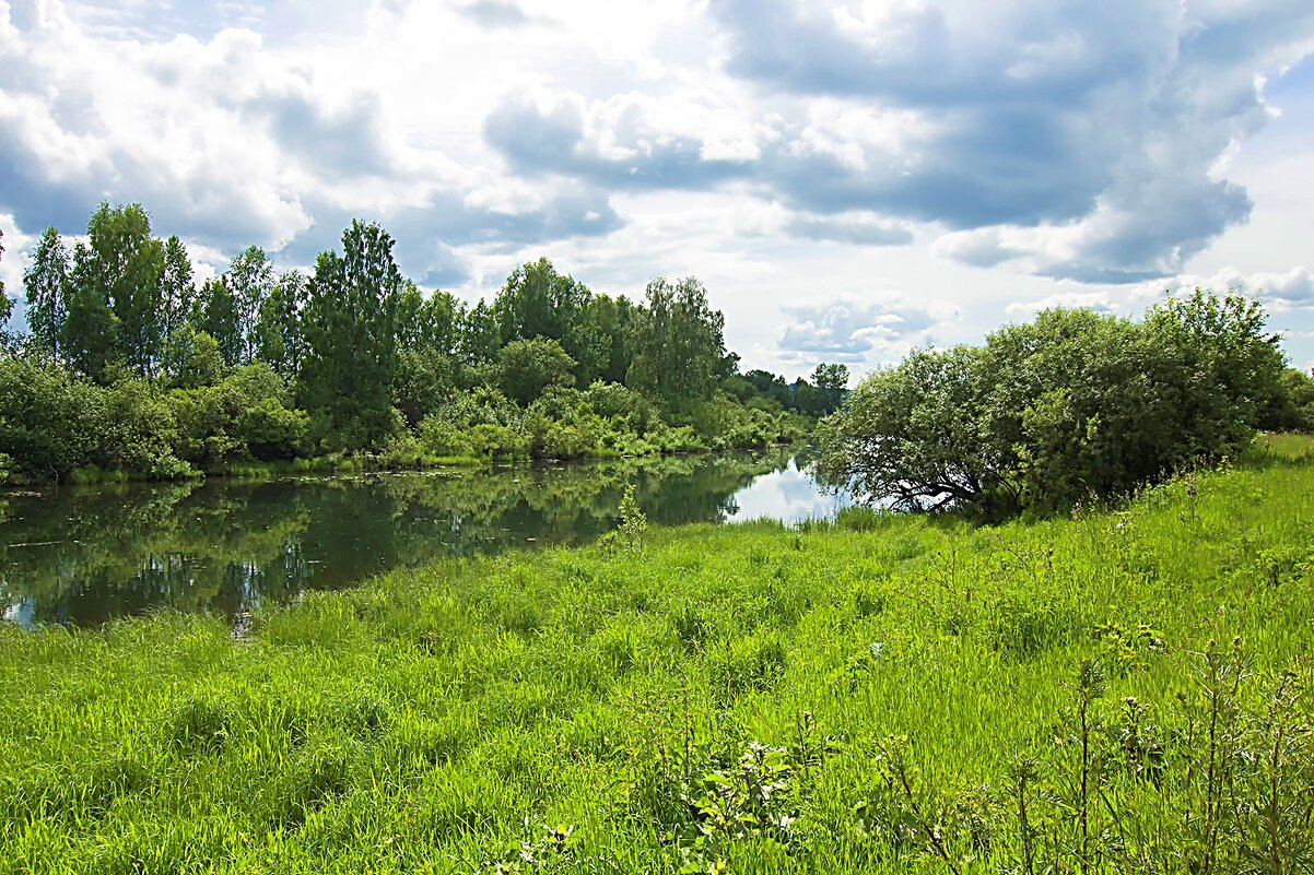 Река, трава и облака: летний триптих - Владимир Кириченко Река, трава и облака: летний триптих - Владимир Кириченко