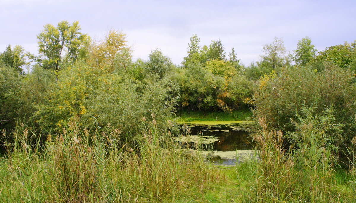 Начало осени. - сергей ермошкин