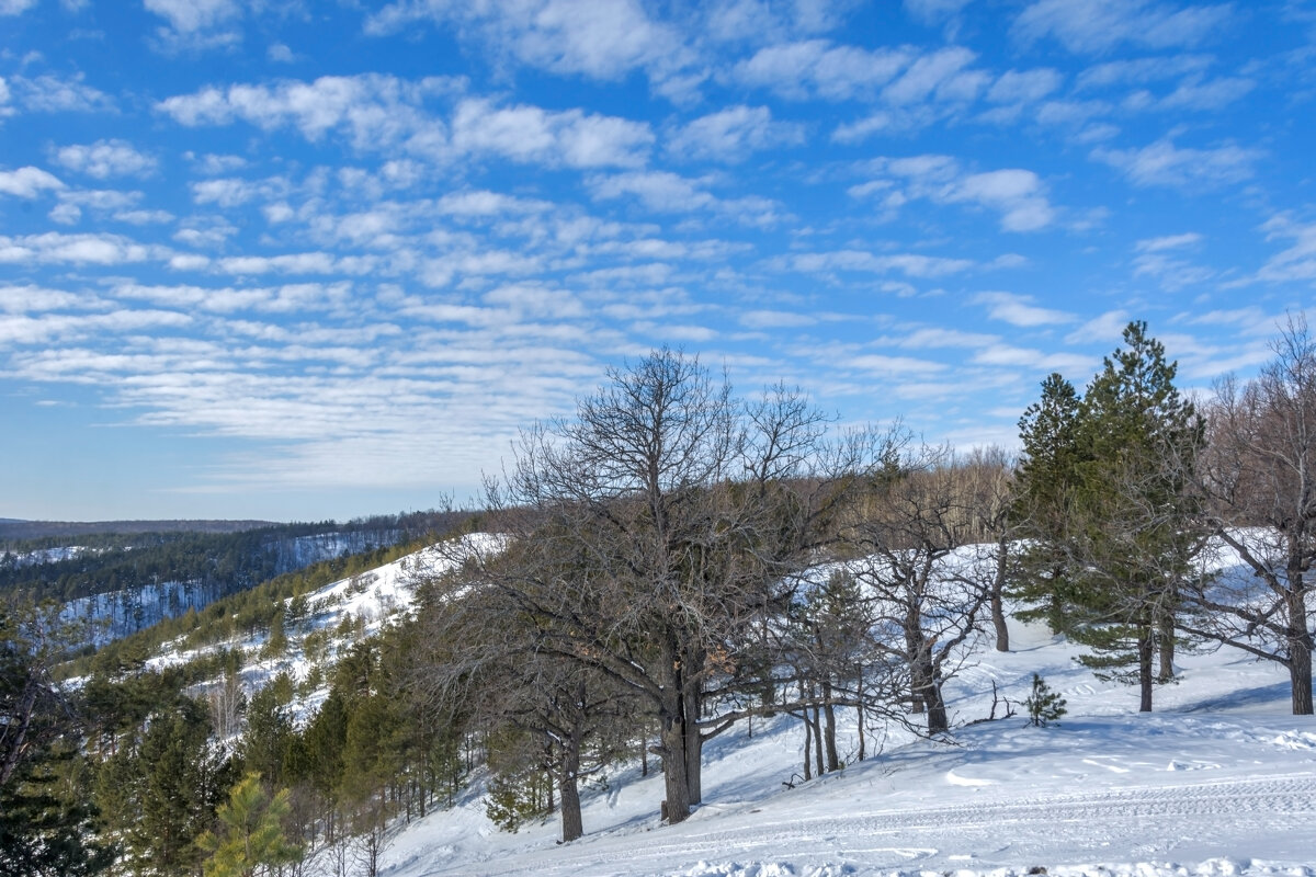 А небо уже весеннее - Наталья Димова А небо уже весеннее - Наталья Димова