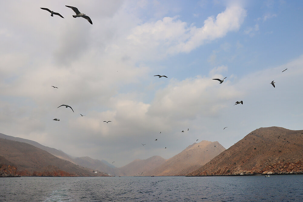 Берега Ормузского пролива - Галина Ильясова Берега Ормузского пролива - Галина Ильясова