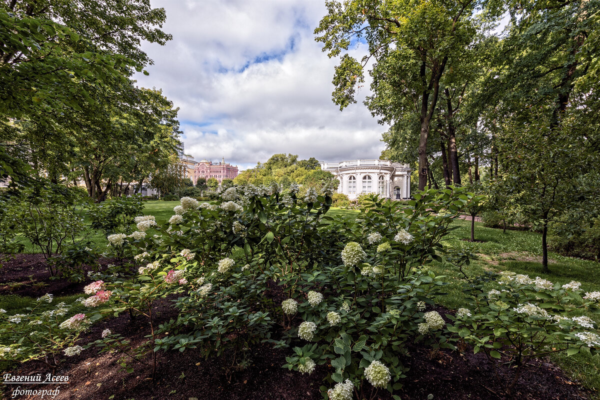 Последние дни лета - Евгений 
