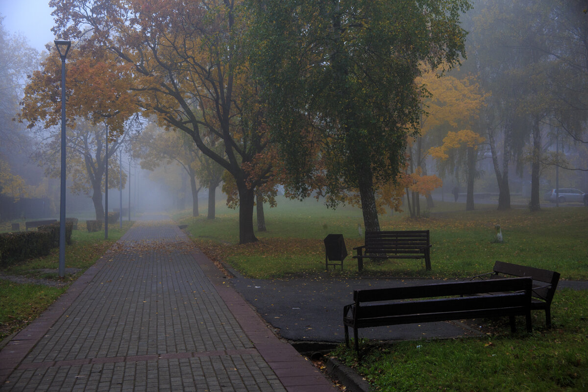 Утренний туман - Владимир Гришин Утренний туман - Владимир Гришин