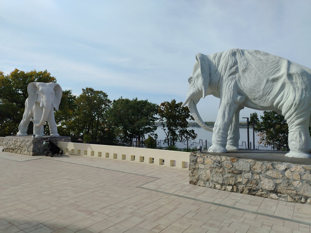 Слоны на Волге - Надежда 