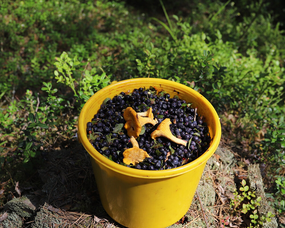 Август 2025 - краснов юрий Август 2025 - краснов юрий