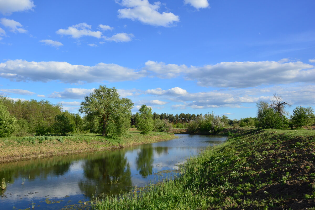 Донские зарисовки. - Виктор 