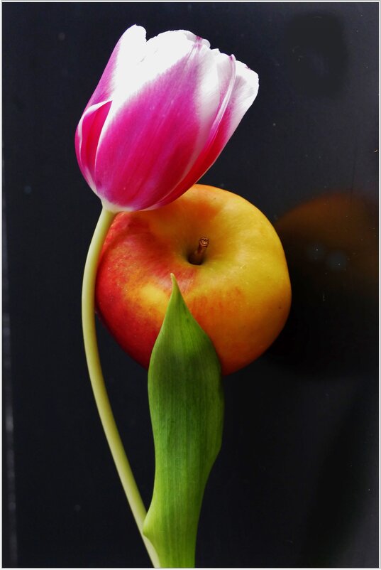 ЧУВСТВЕННОСТЬ.... - Elvira E. ЧУВСТВЕННОСТЬ.... - Elvira E.