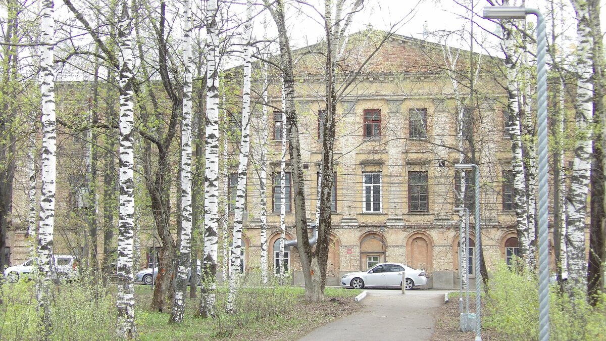 "За берёзами" - Макс Орлов