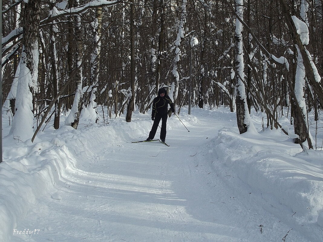 Зима - радость для лыжников! - Freddy 97