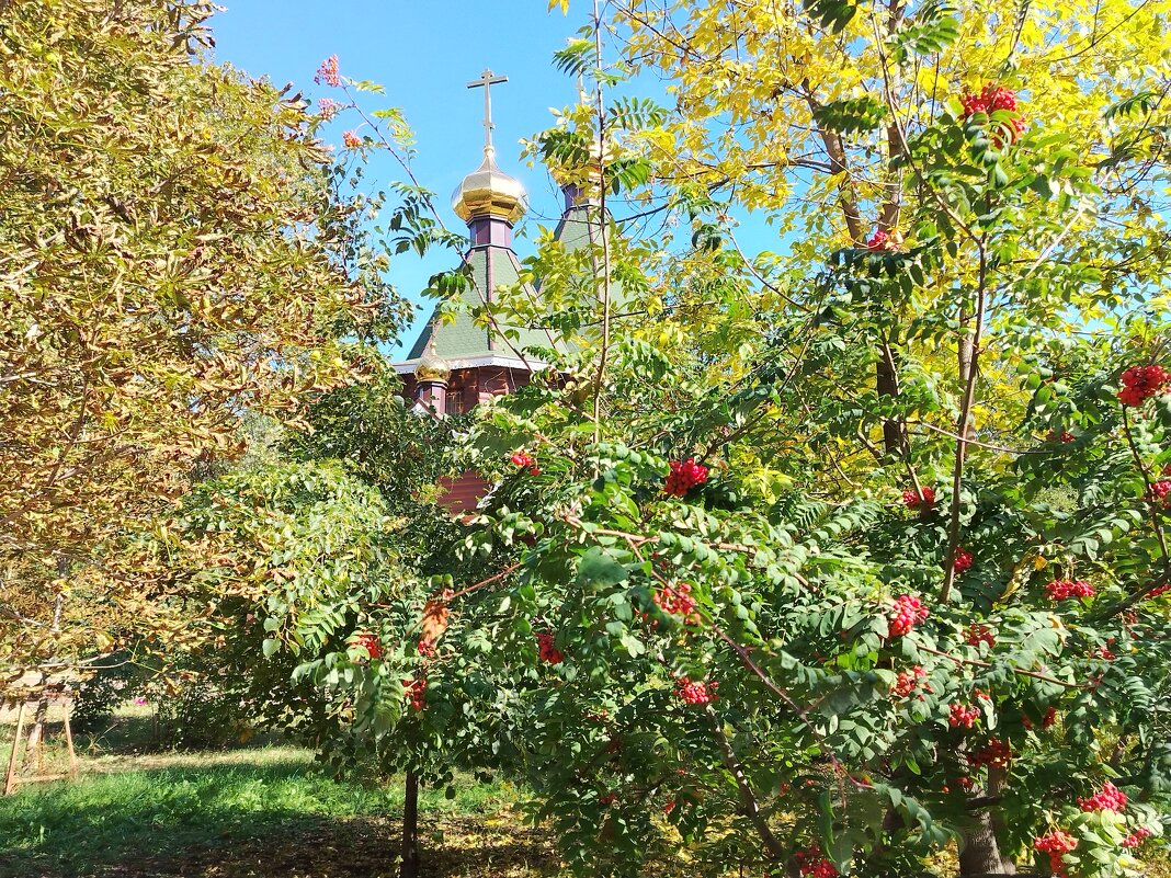 Золотые купола - Надежда 