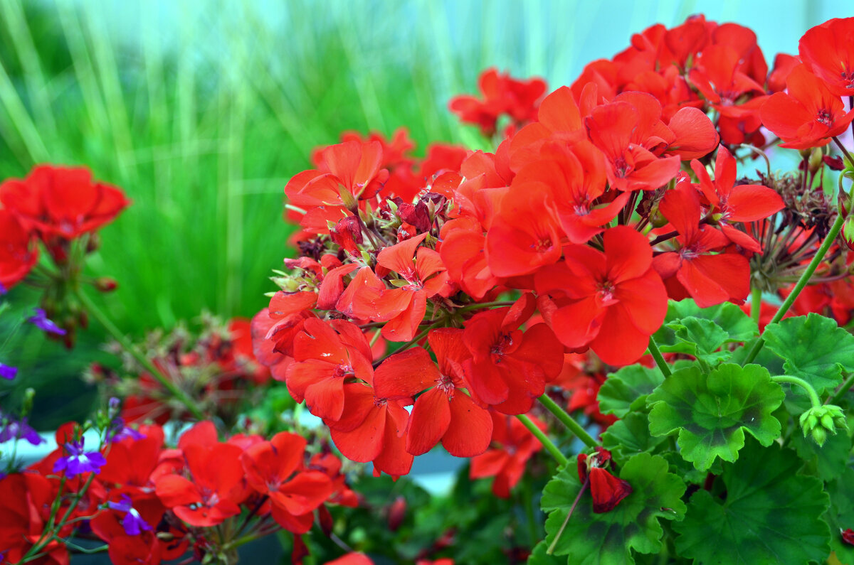 . - Дмитрий Шароватов