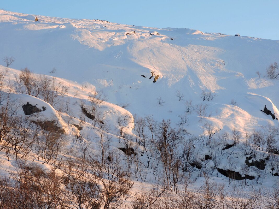 Март за окном - Мария Васильева Март за окном - Мария Васильева