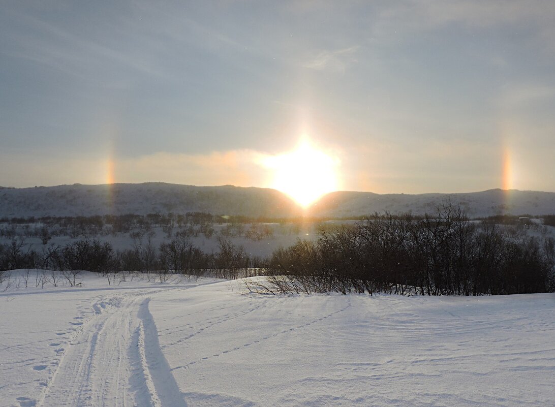 Мартовское гало - Мария Васильева Мартовское гало - Мария Васильева