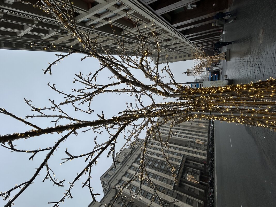 Москва - Натали 