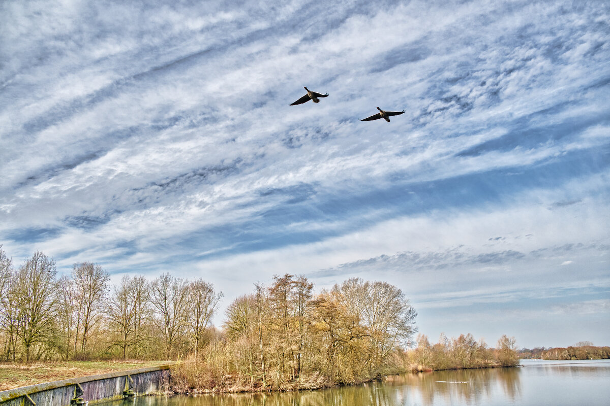 Летят гуси - Jakob Dick