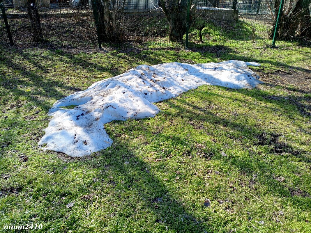 Март в ростовском зоопарке - Нина Бутко Март в ростовском зоопарке - Нина Бутко