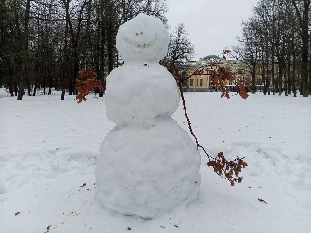 Снеговик - Сапсан Снеговик - Сапсан