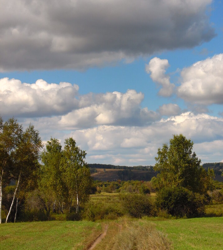 В один из летних дней. - nadyasilyuk Вознюк