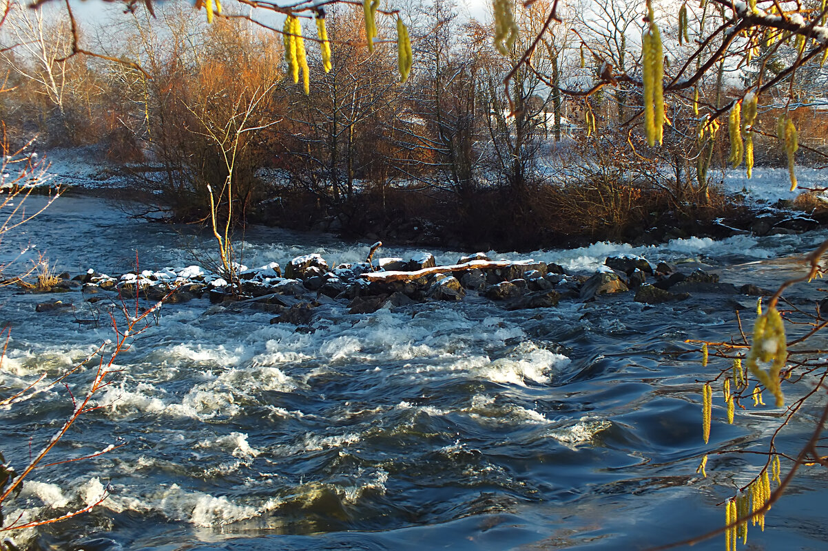 Весеннее половодье - Valziwa Весеннее половодье - Valziwa
