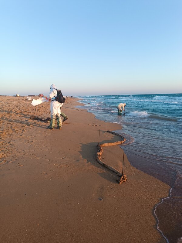 Сети - Albina Lukyanchenko