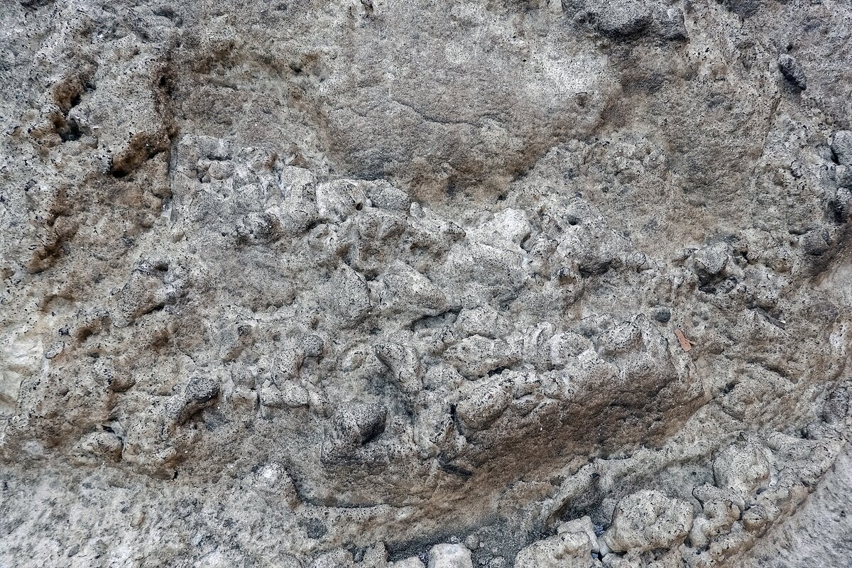 Мартовский снег - Валерий Иванович Мартовский снег - Валерий Иванович