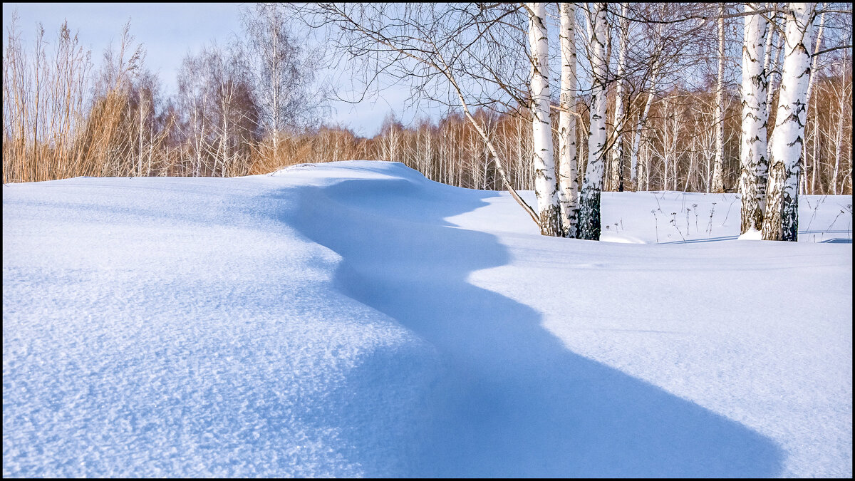 Предчувствие весны - **** vedin