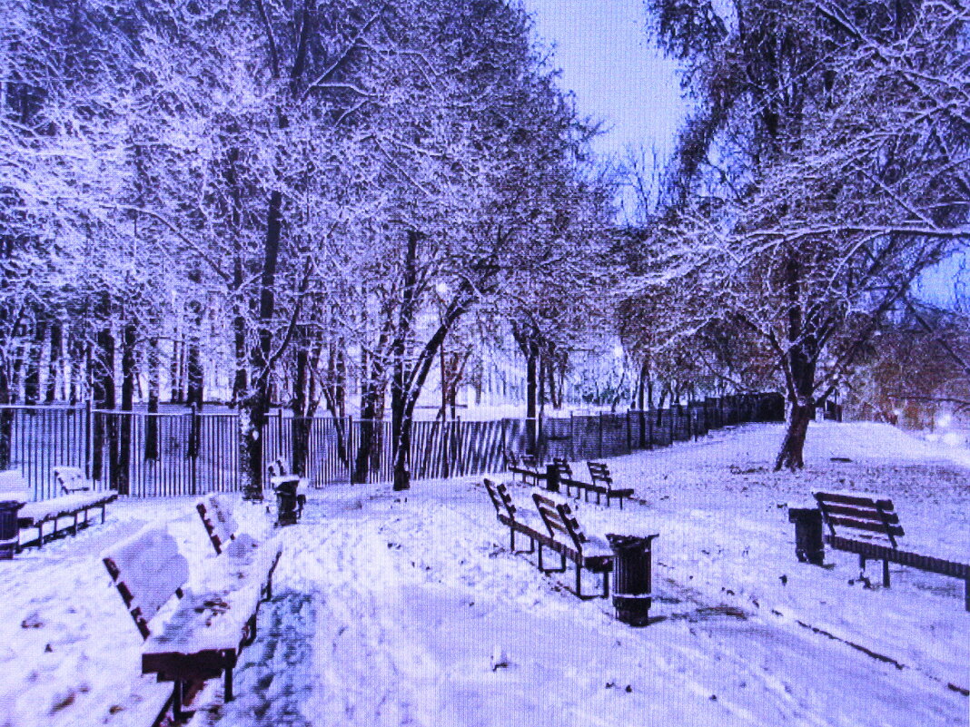 В парке - Людмила Смородинская