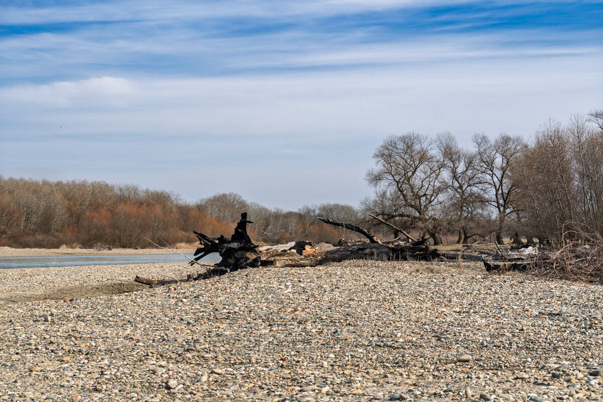 Реку Кубань в марте - Игорь Сикорский Реку Кубань в марте - Игорь Сикорский