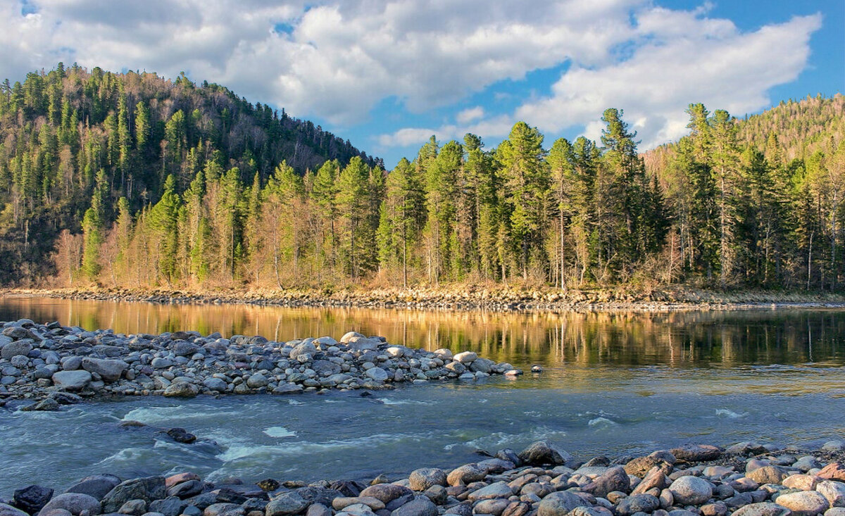 Утро на Бие - елена беликова