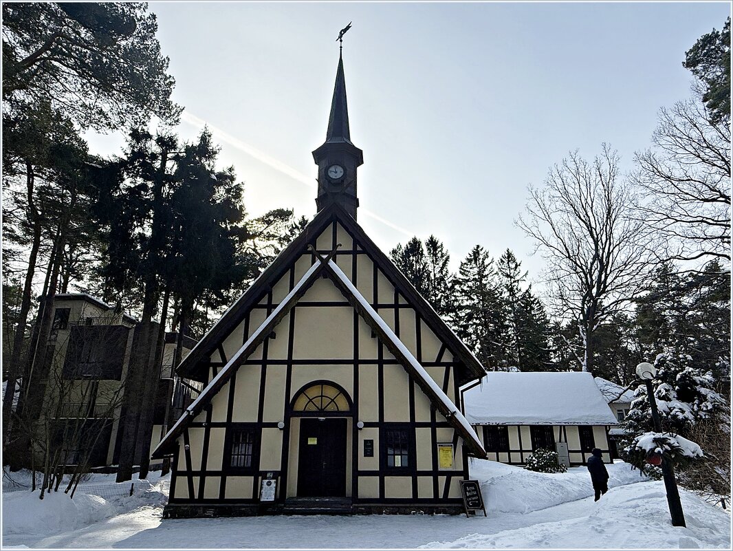 Органный зал зимой. - Валерия Комова