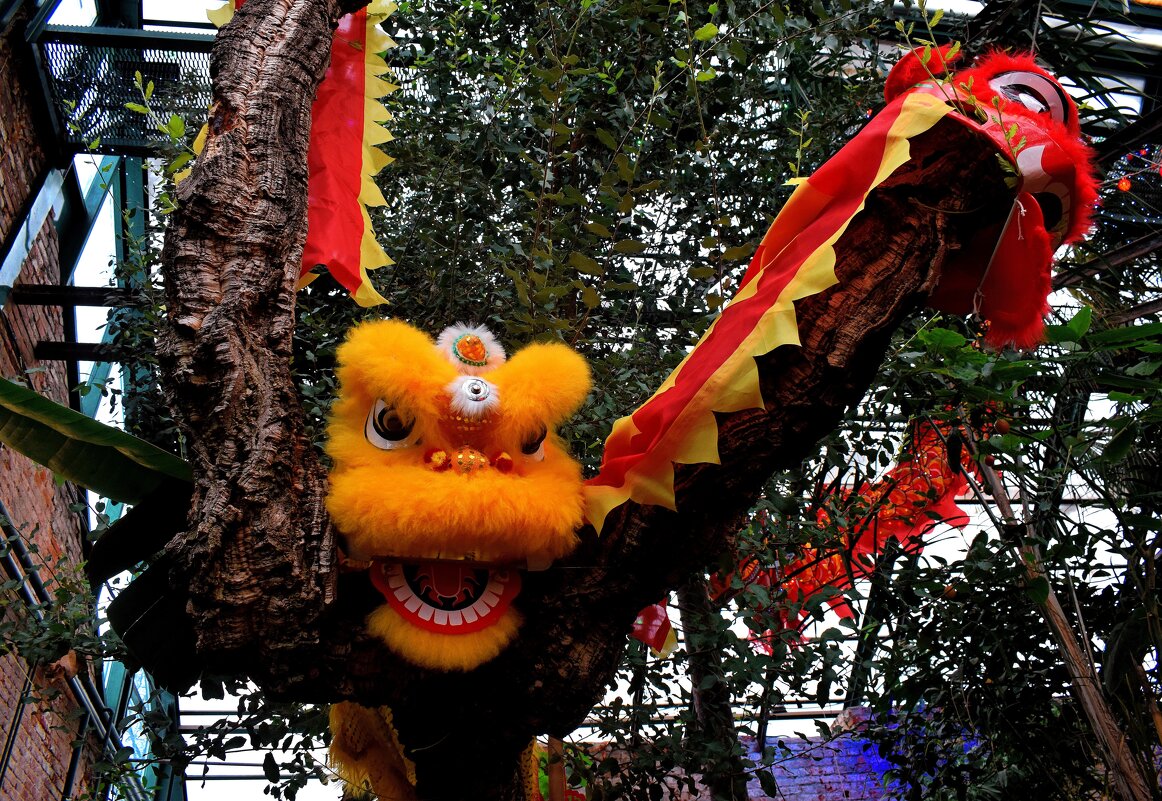 Могущество и благородство по китайской традиции. - Татьяна Помогалова Могущество и благородство по китайской традиции. - Татьяна Помогалова