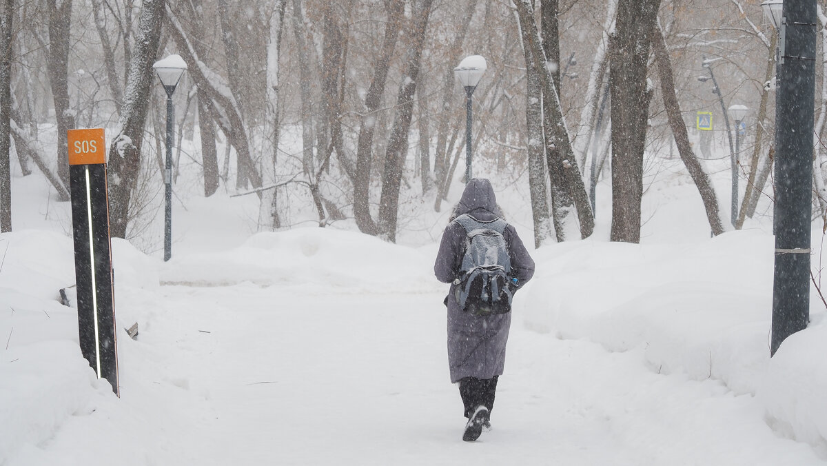 Непогода - юрий поляков