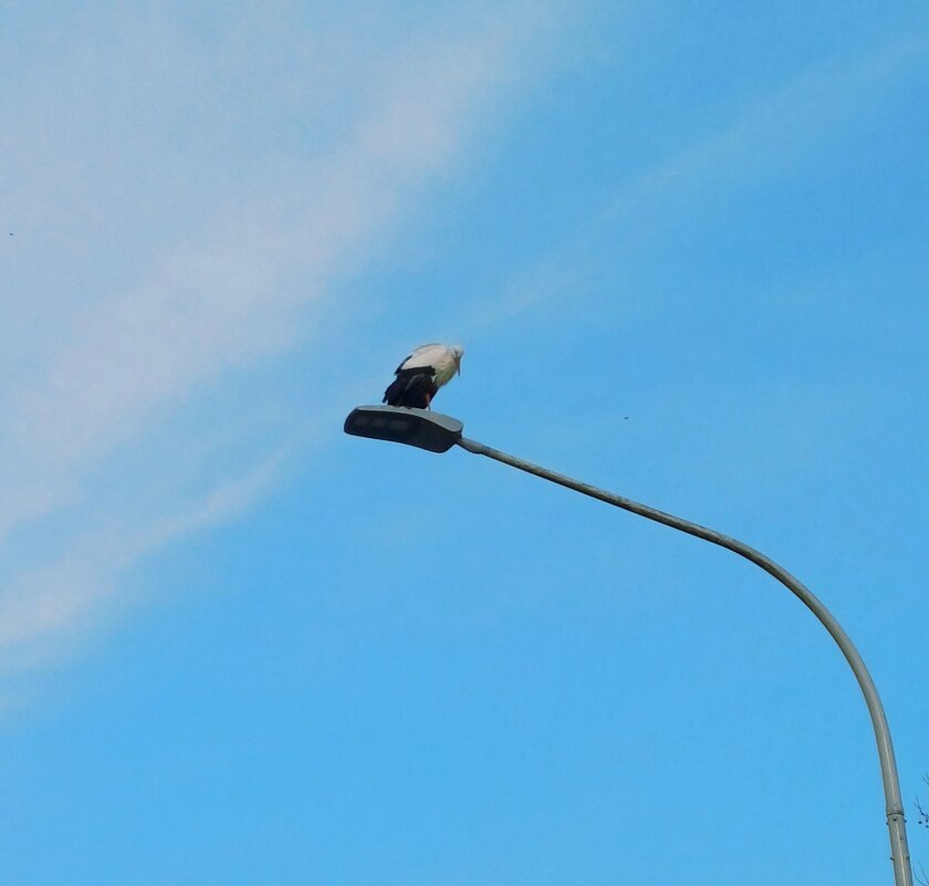 .. - vladimir .. - vladimir