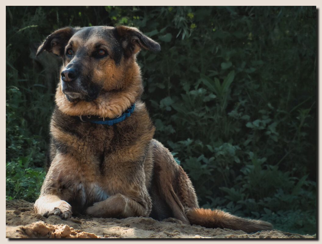 Марта - Сергей В