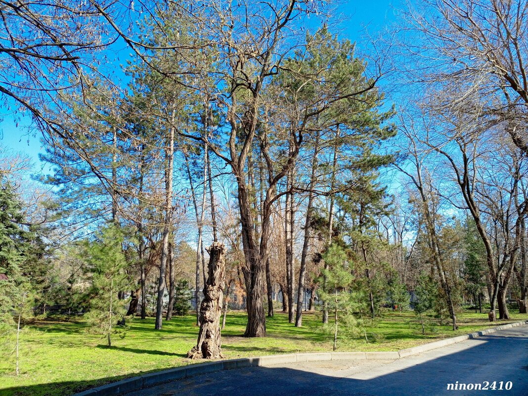 Март в ростовском зоопарке - Нина Бутко