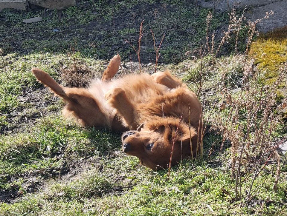 Весеннее настроение - Наталья 